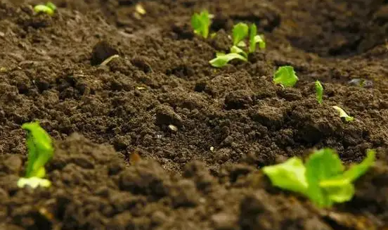 1656659193503506.png image.png