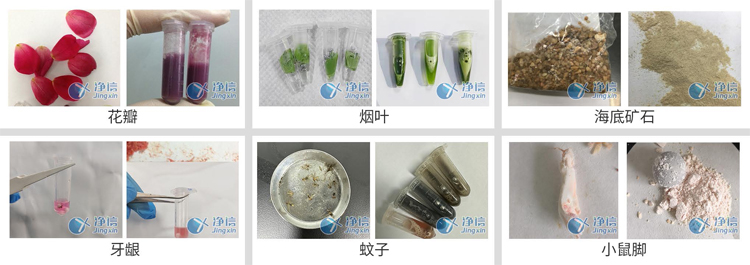 JXFSTPRP-CLN-DT凍臺(tái)冷凍研磨儀-研磨案例 JXFSTPRP-CLN-DT凍臺(tái)冷凍研磨儀-研磨案例